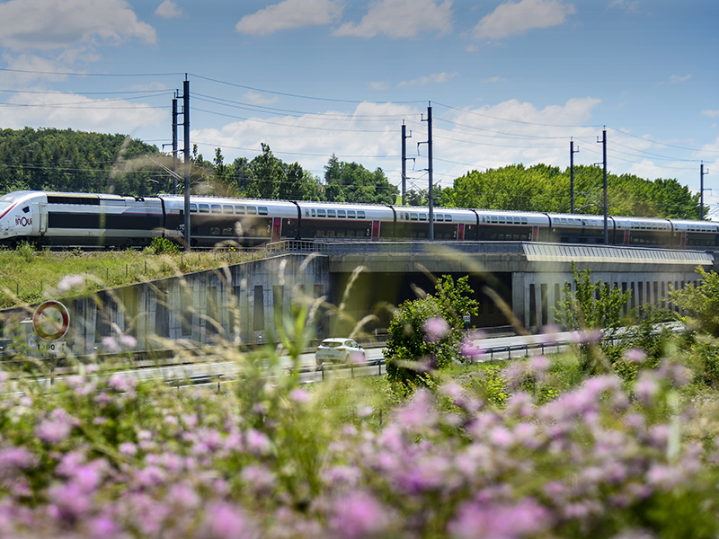 Photo d'un train et nature
