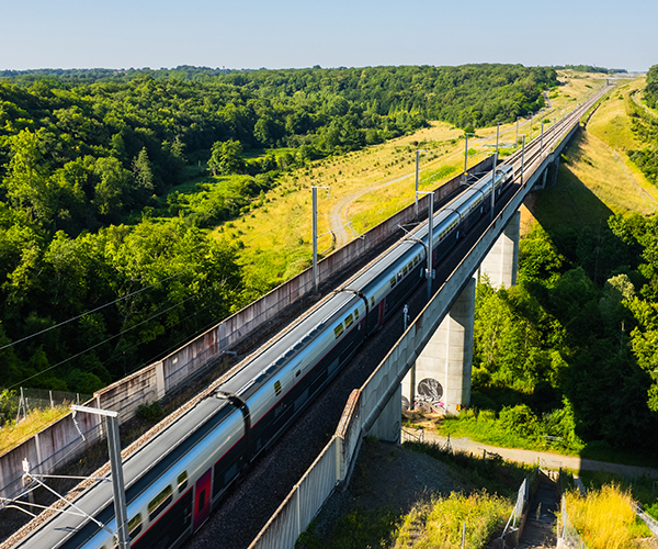 Vue d'un train sur un pont entouré de végétation